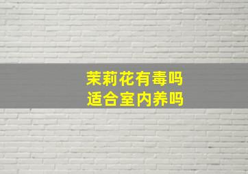 茉莉花有毒吗 适合室内养吗